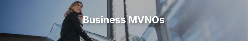 Business (B2B) MVNO Business Model