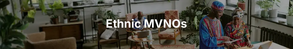 Ethnic MVNO Business Model