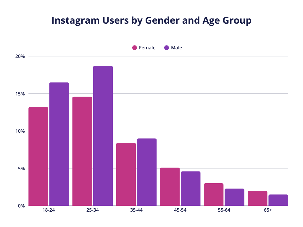 a graph showcasing instagram users by gender and age group