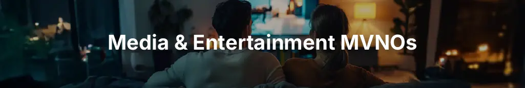 Media and Entertainment MVNO Business Model