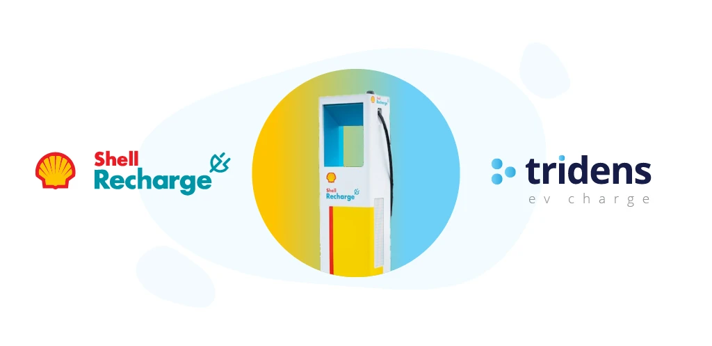 migración al cielo shell