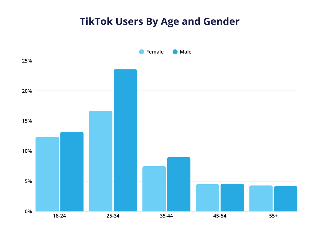 A bar chart showcasing TikTok users by age and gender.